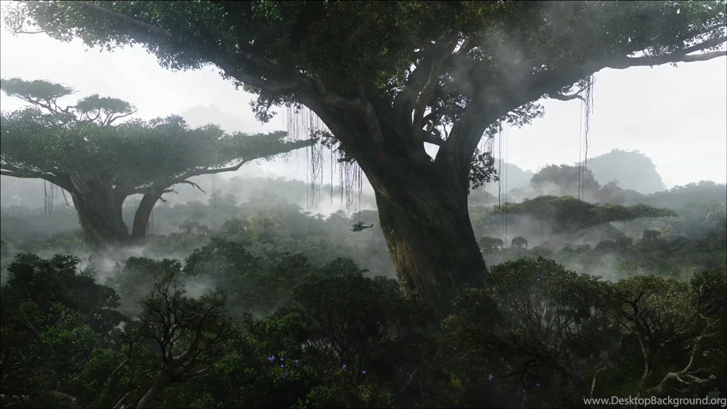 Tropical Rainforest Desktop Wallpapers