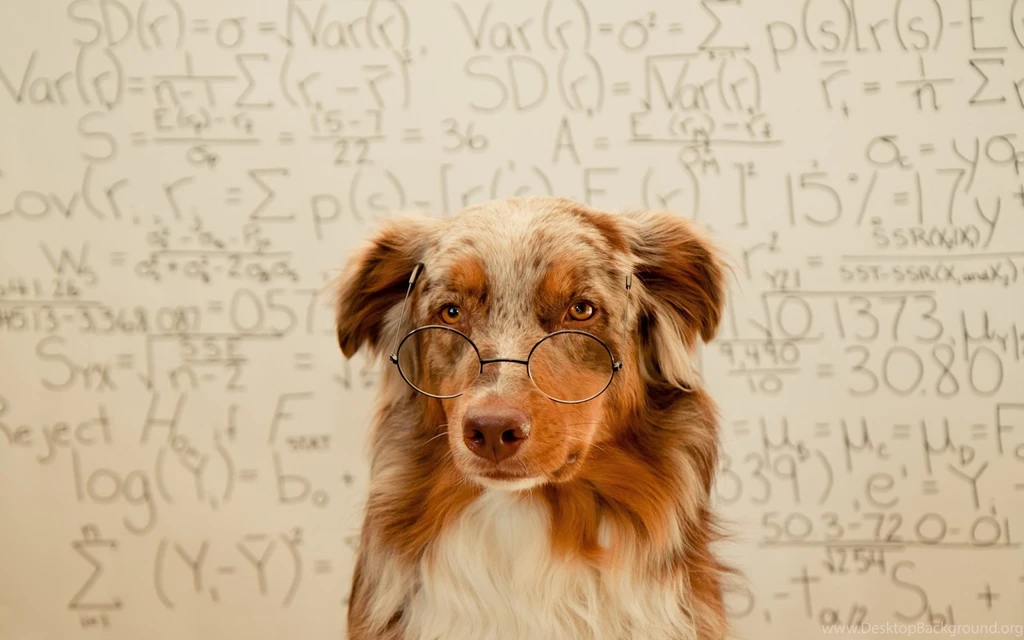 Smart Dog With Glasses And Math Formulas HD Wallpapers