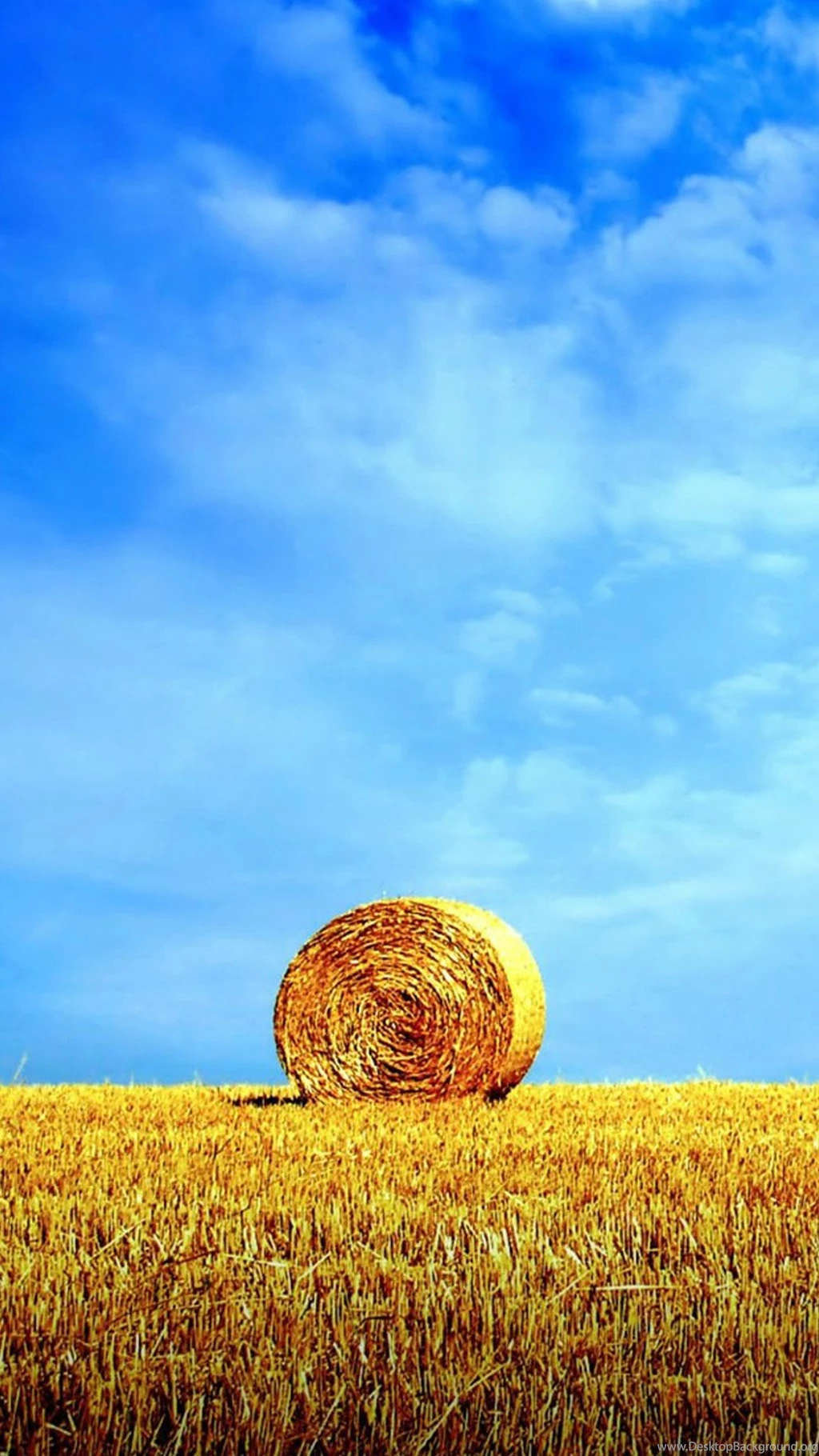 Free Nature Samsung Wallpapers