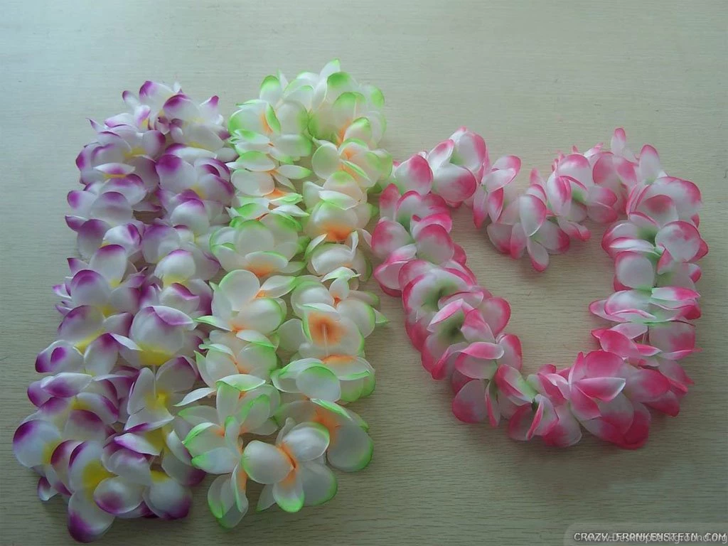 Flower Lei Wallpapers Crazy Frankenstein