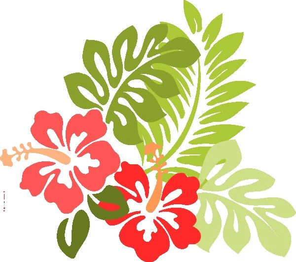 Hawaii Flower Wallpapers Wallpapers Zone
