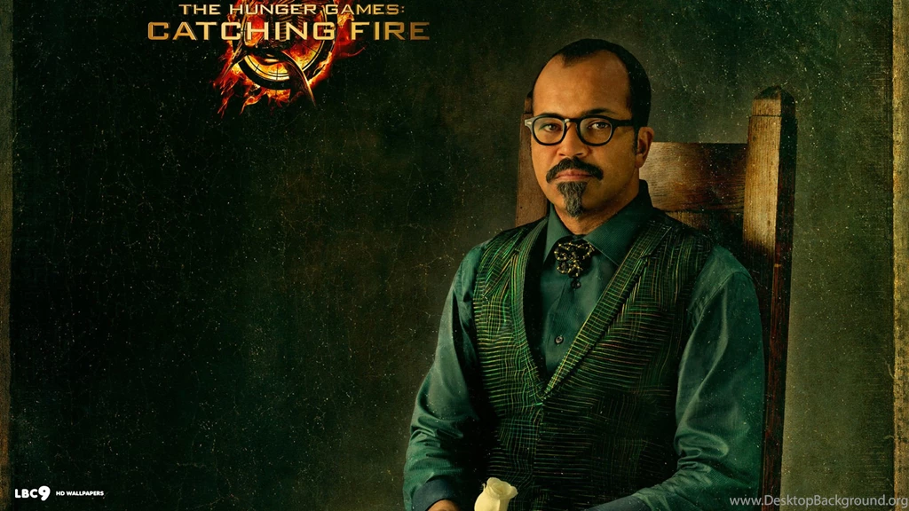 Hunger Games Catching Fire Wallpapers 1/18