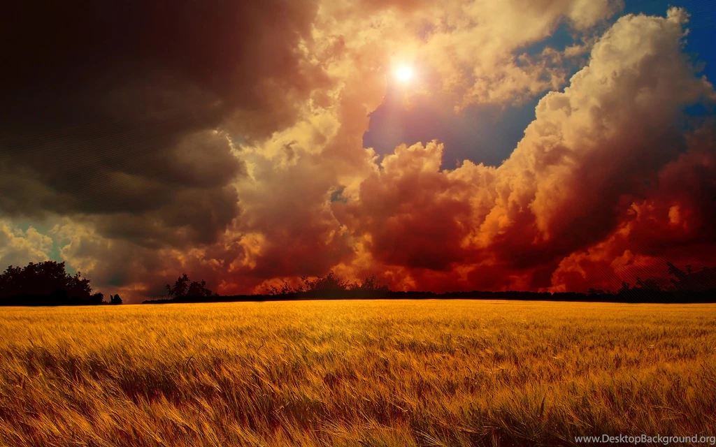 Sunset Over The Clouds Wallpapers