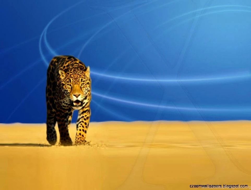 Desktop Animated Wallpapers Windows 7 Free Download Desktop Background