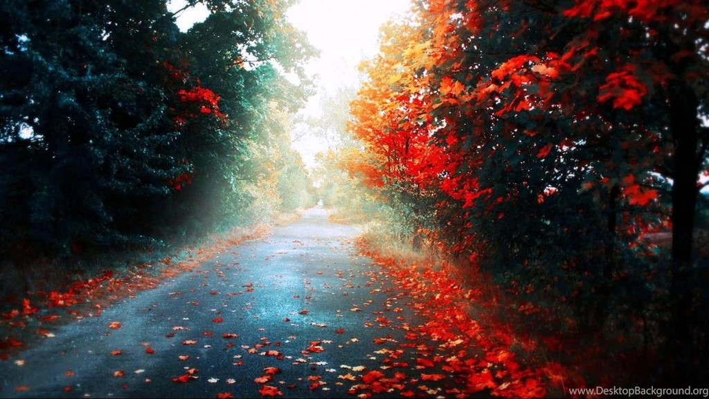 Free High Definition Wallpapers Download ~ Toptenpack.com