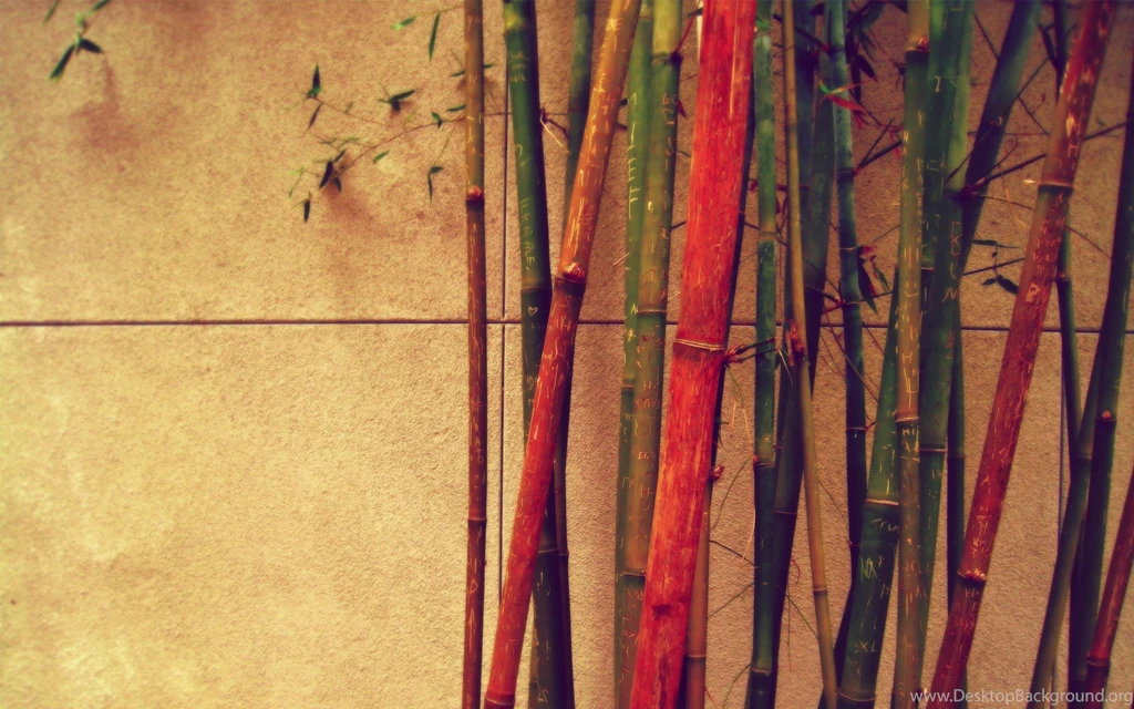 Bamboo Vintage Retro Wallpapers Wide 65417