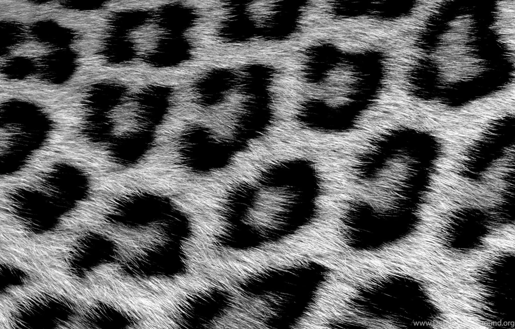 Leopard By Kubah On DeviantArt