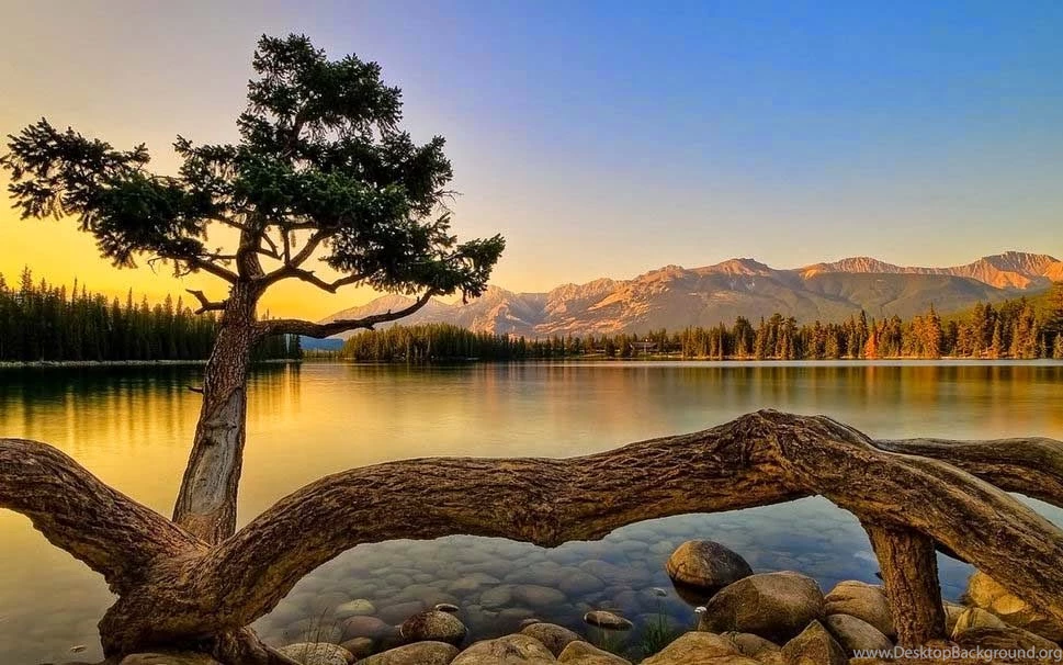 Beautiful Nature Backgrounds