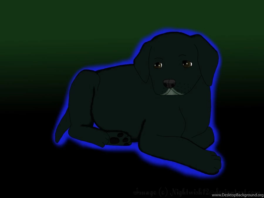 Request__black_lab_puppy_by_nightwish12 d45wwd9.png