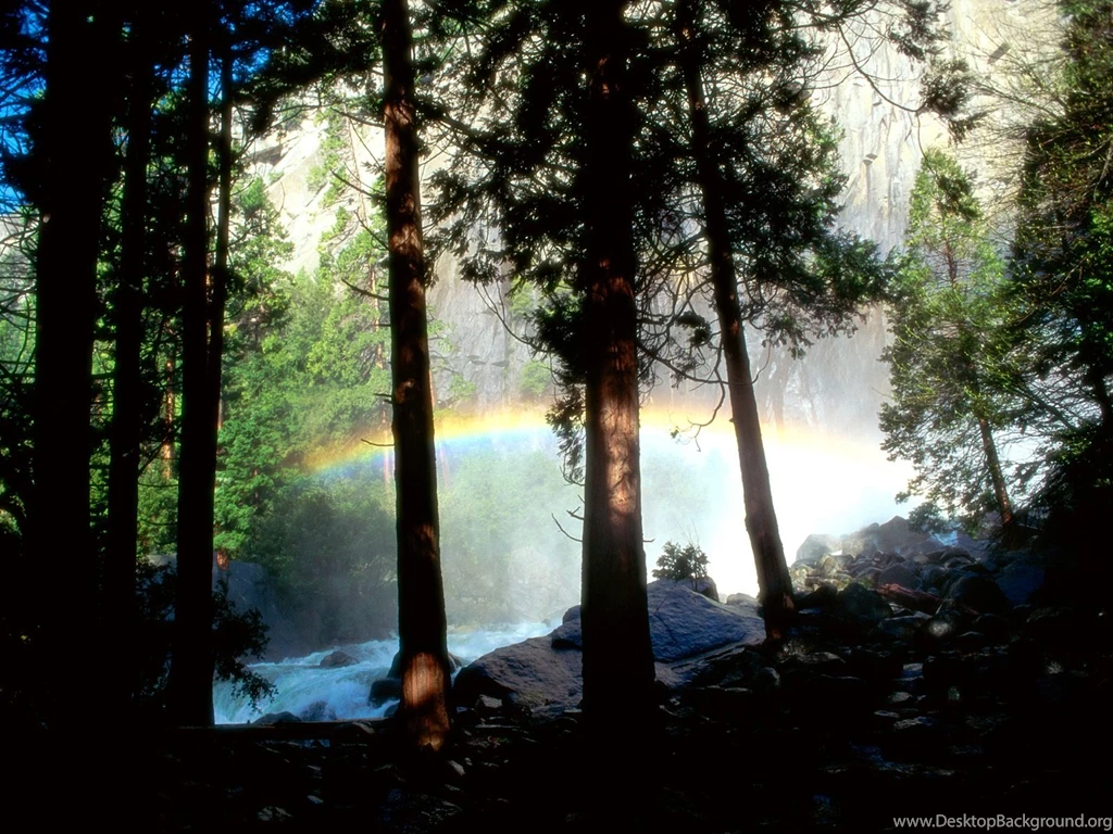 Desktop Wallpapers · Gallery · Nature · Rainbow In The Woods