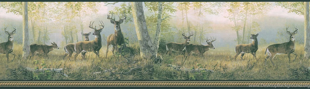 Deer in the woods wallpaper border 29.gif