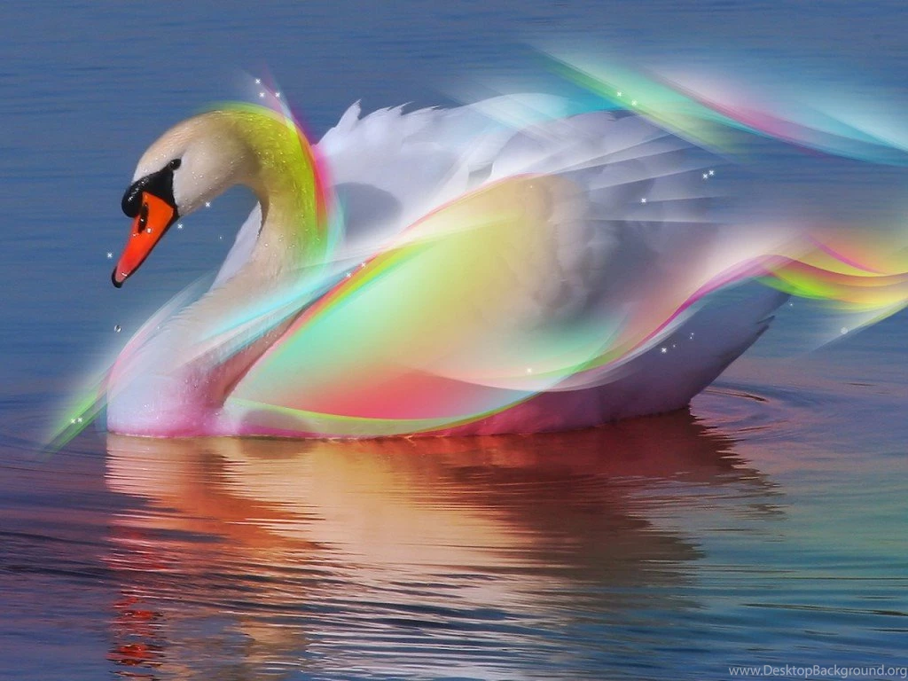 Beautiful Wallpapers Free Download Collection (41+)
