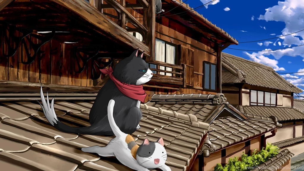 Nyan Koi! Cats On The Roof Top HD Desktop Wallpapers : Widescreen ...