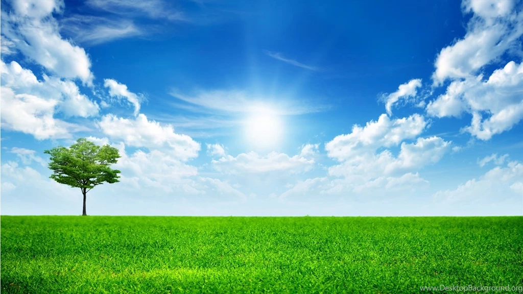 Wallpaper Images Collection (47+)