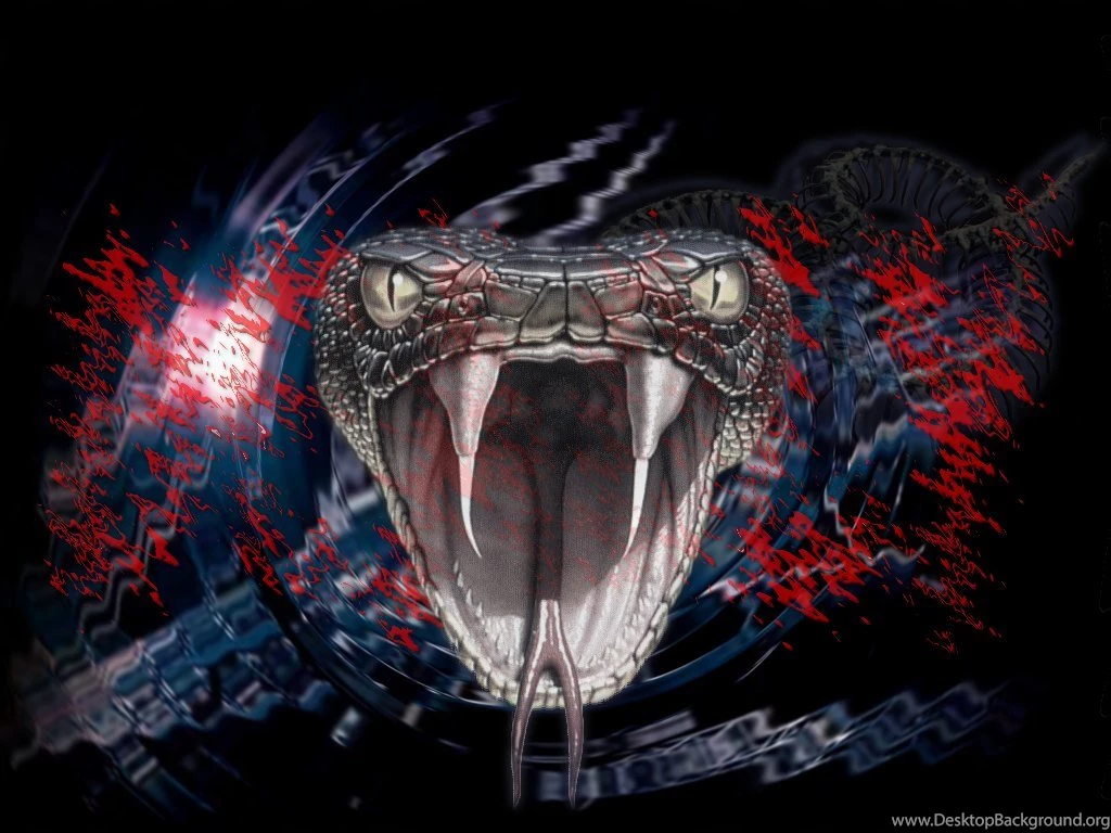 Wallpapers Snake Snakes Hd Cool 1024x768
