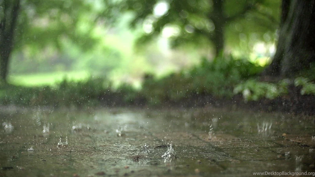 Raindrops Live Wallpapers Android Apps On Google Play