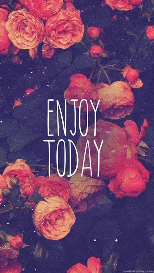 Enjoy Today Red Rose