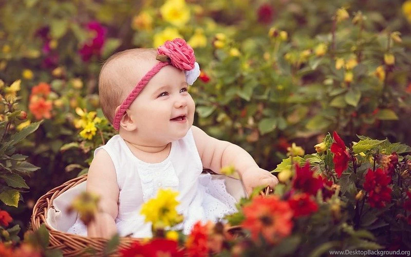 Cute Baby Rose Garden Free Desktop Backgrounds And Wallpapers