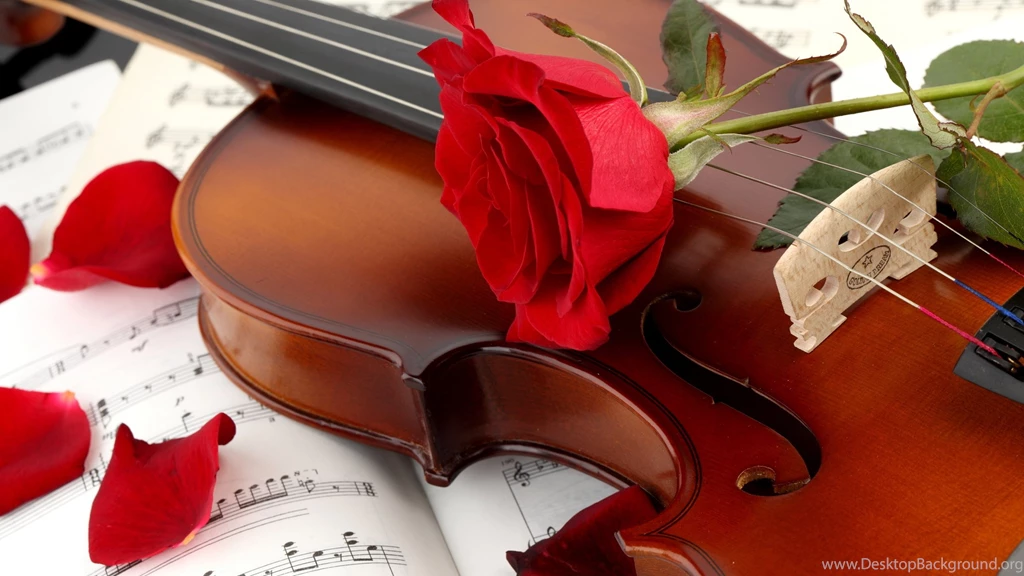 Red Rose Wallpapers