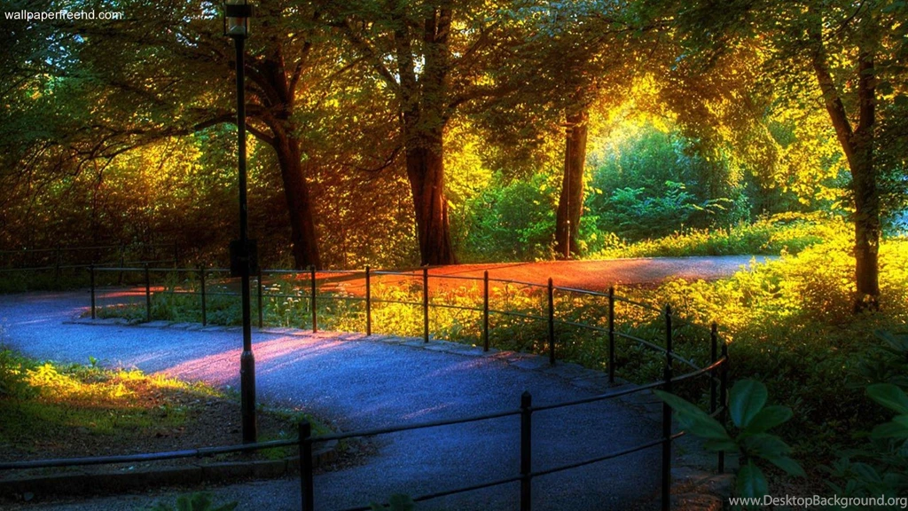 Wallpaper Images Download