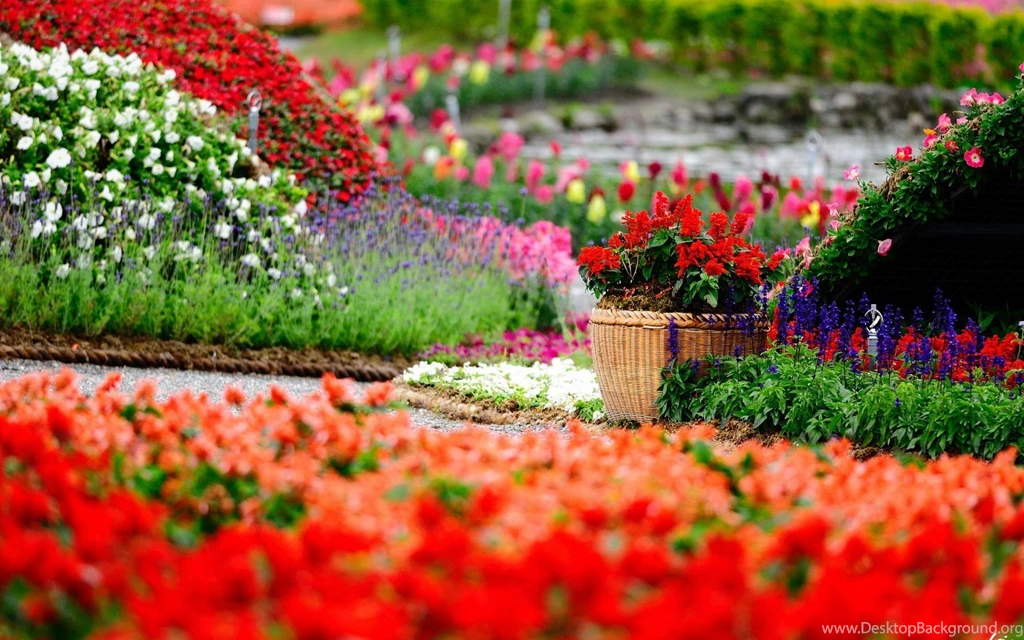 Flower Garden Wallpapers