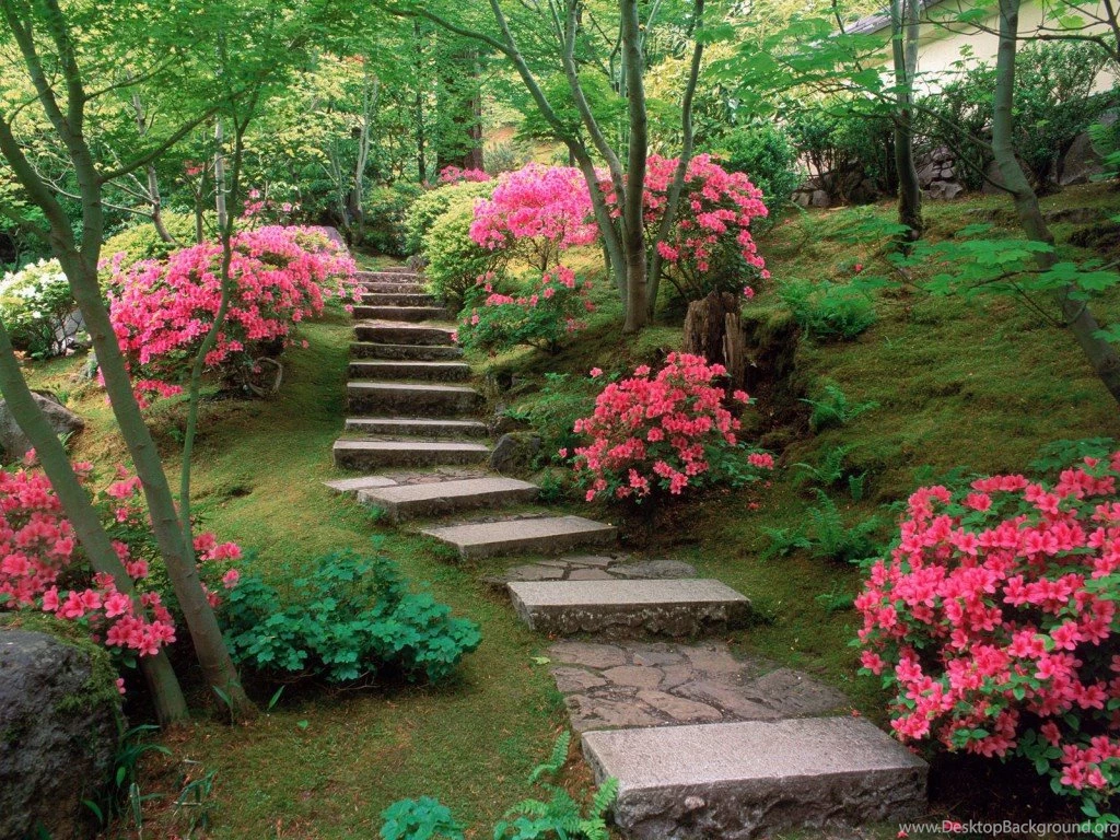 Gardens Wallpaper: Rose Garden HD Wallpapers New WallpapersNew ...