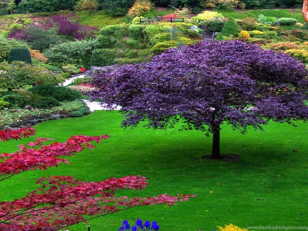 Beautiful Wallpapers Of Flower Gardens