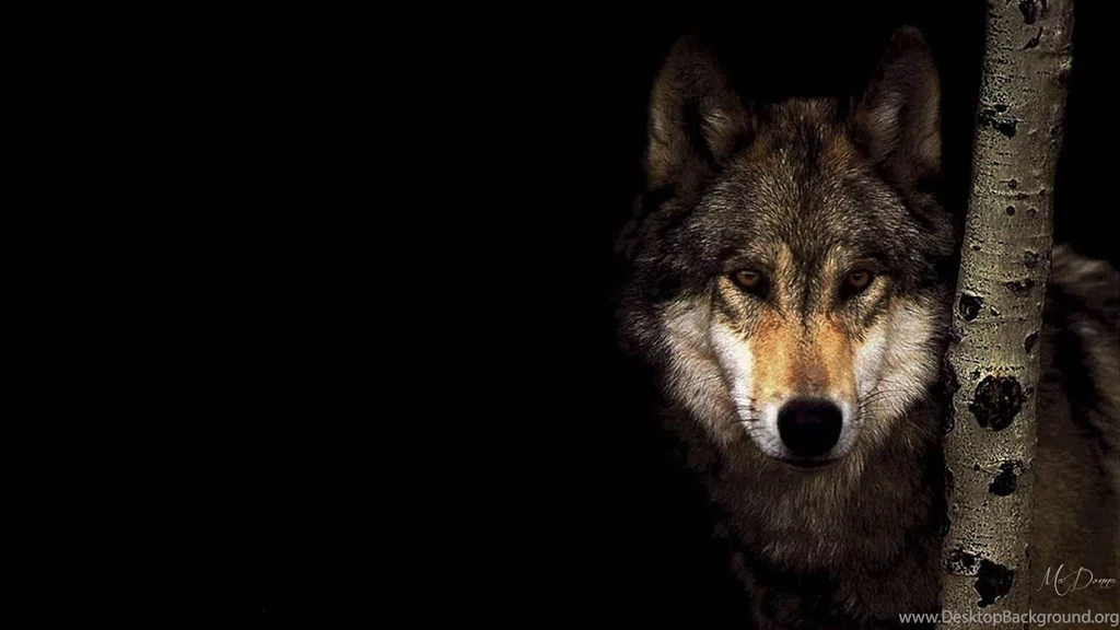 Dogs: Spirit Wilderness Wolf Totem Native American Tree Wild ...