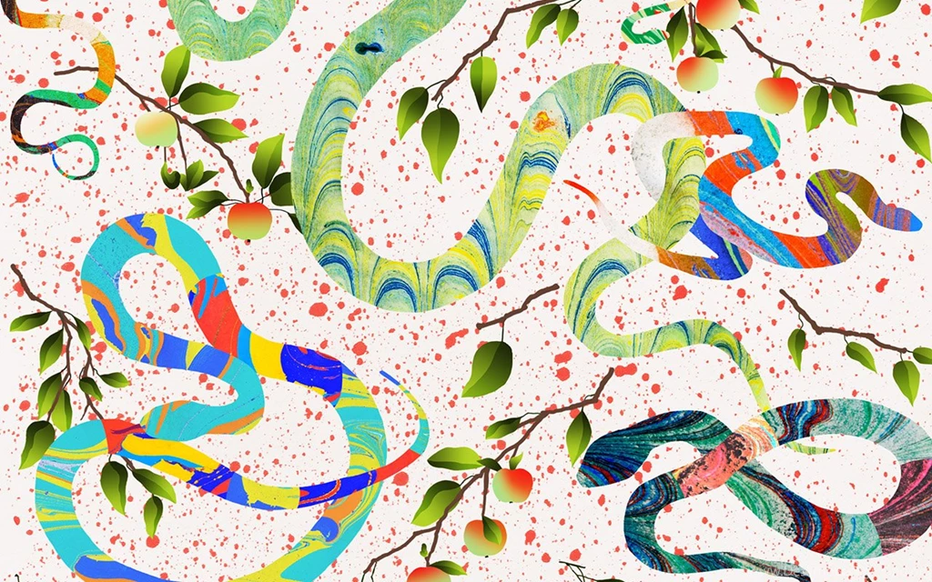 The Desktop Wallpapers Project