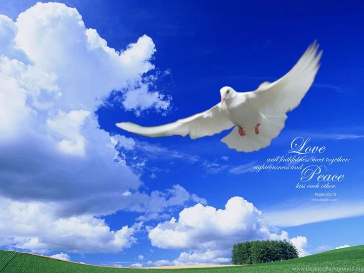 Bible+guotes+with+doves+