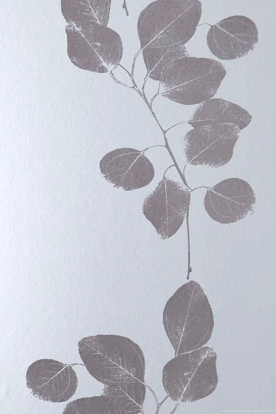 Floral Wallpapers / Paper / Traditional   LEAF METALLIC   Jocelyn ...