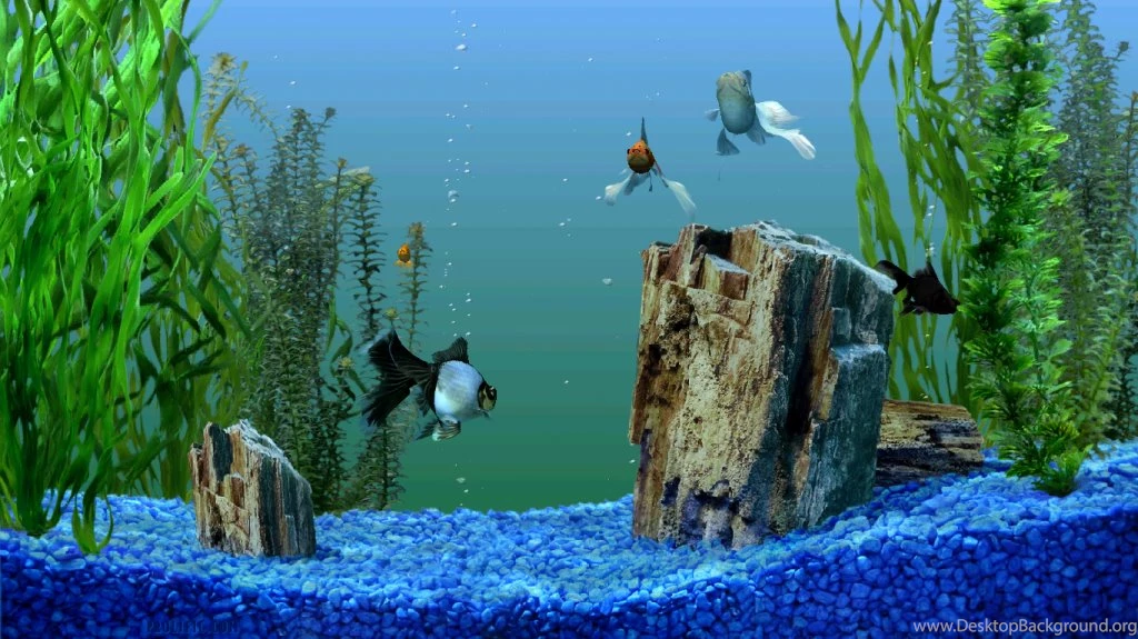 Large Fish Tank;fish Tank ; Hd