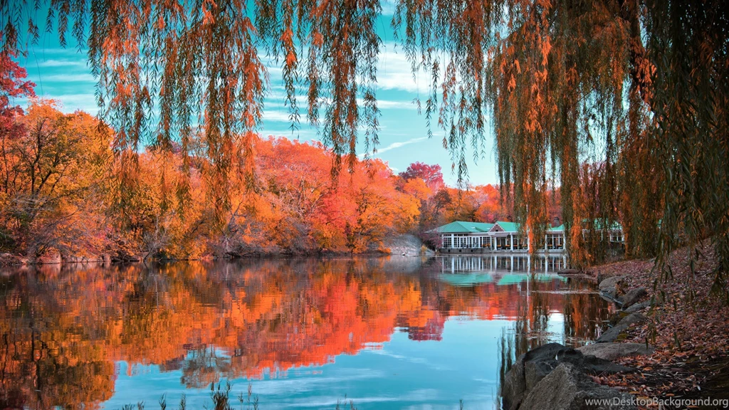 4K Ultra HD Central Park Wallpapers HD, Desktop Backgrounds 3840x2160