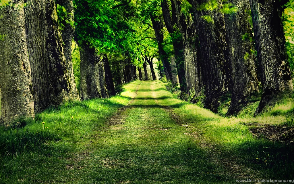 20+ Best HD Park Pictures Wallpapers