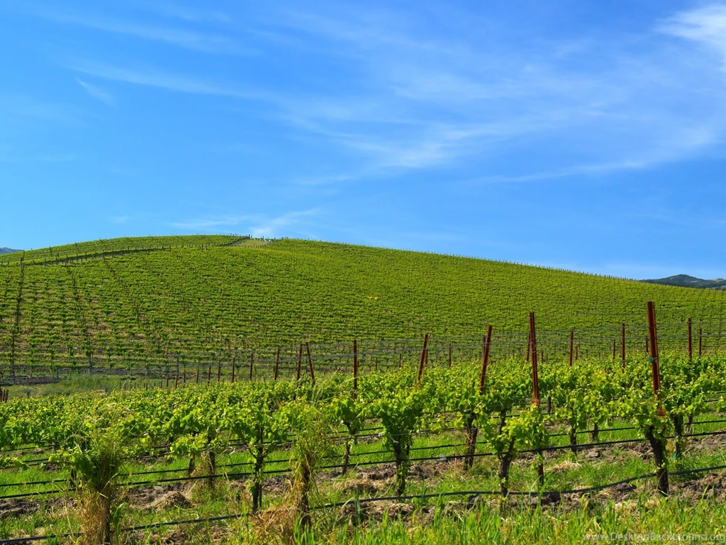 Windows Xp Nature Wallpapers