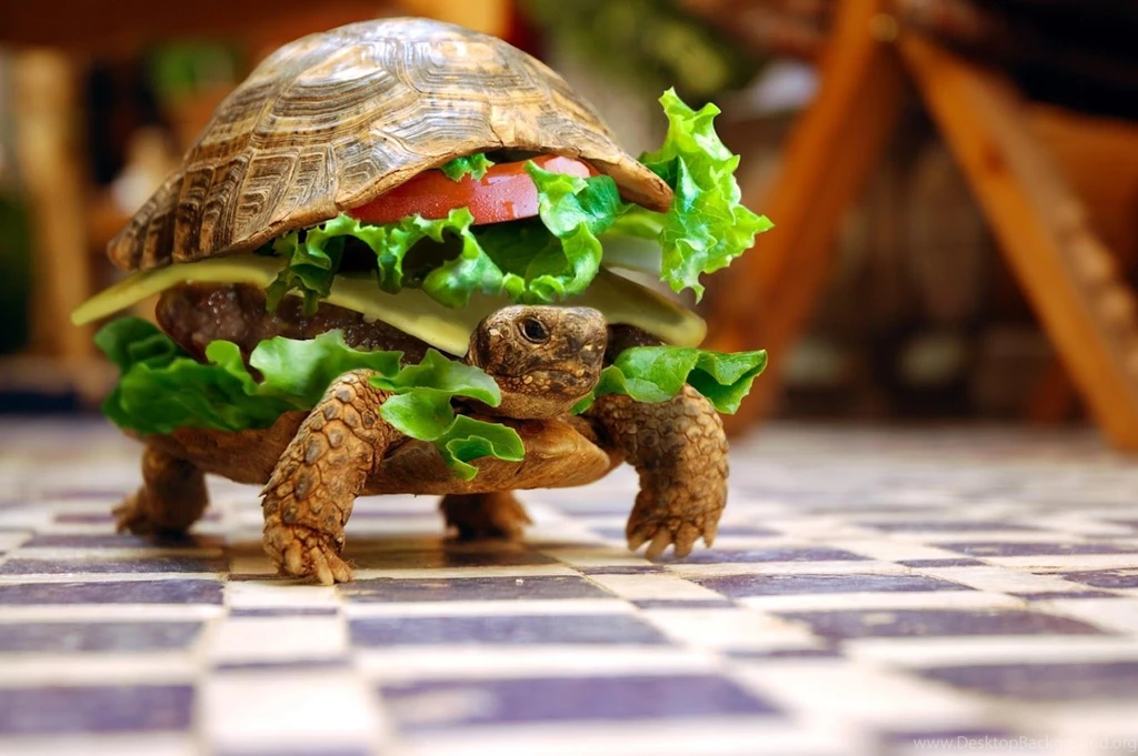 Funny Wallpapers HD Android Apps On Google Play