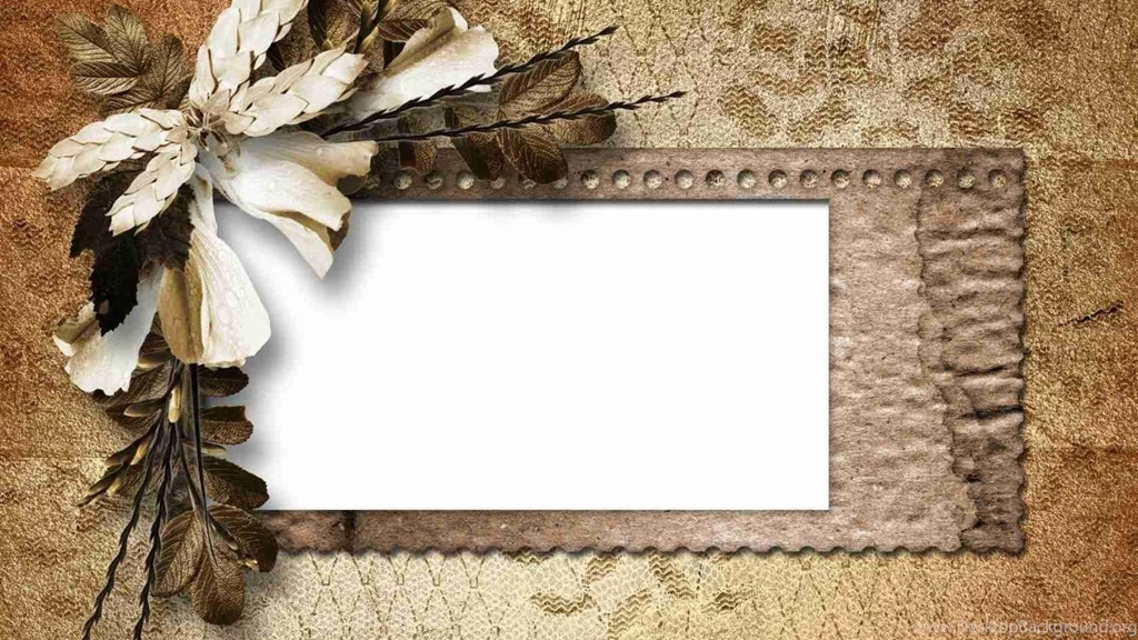 Paper Vintage Retro Flower Petals Blank Wallpapers