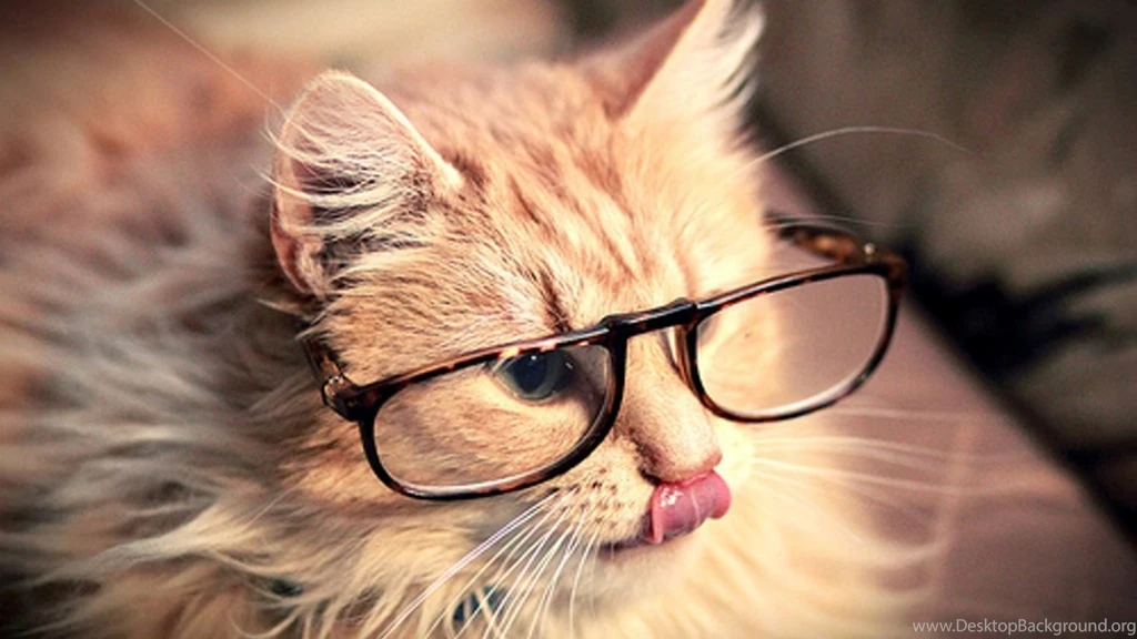 Cool Pretty Pictures Tumblr