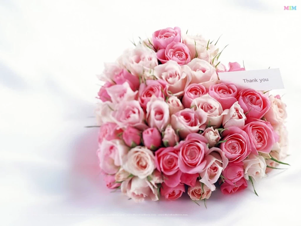 Love Desktop wallpapers 020, Love