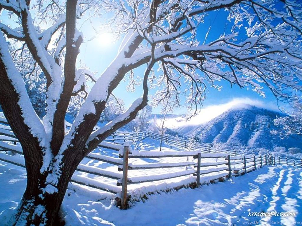 Winter Season Screen (id: 34591) – BUZZERG