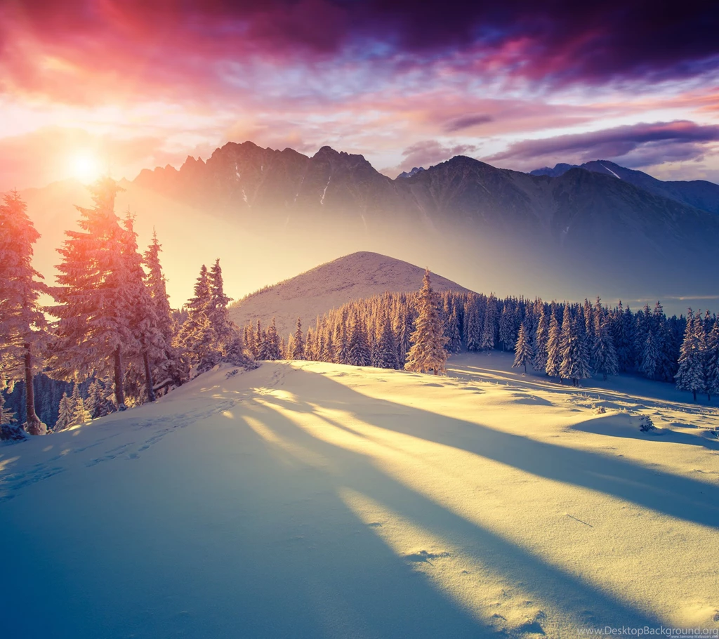 Winter Sun Lock Screen 2160x1920 Samsung Galaxy S5 Wallpapers ...
