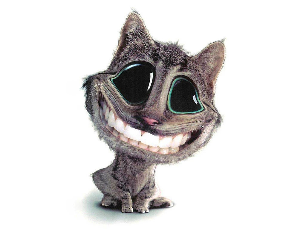 Funny Animals Wallpapers 3D Funny Animals Desktop Wallpapers 3D ...