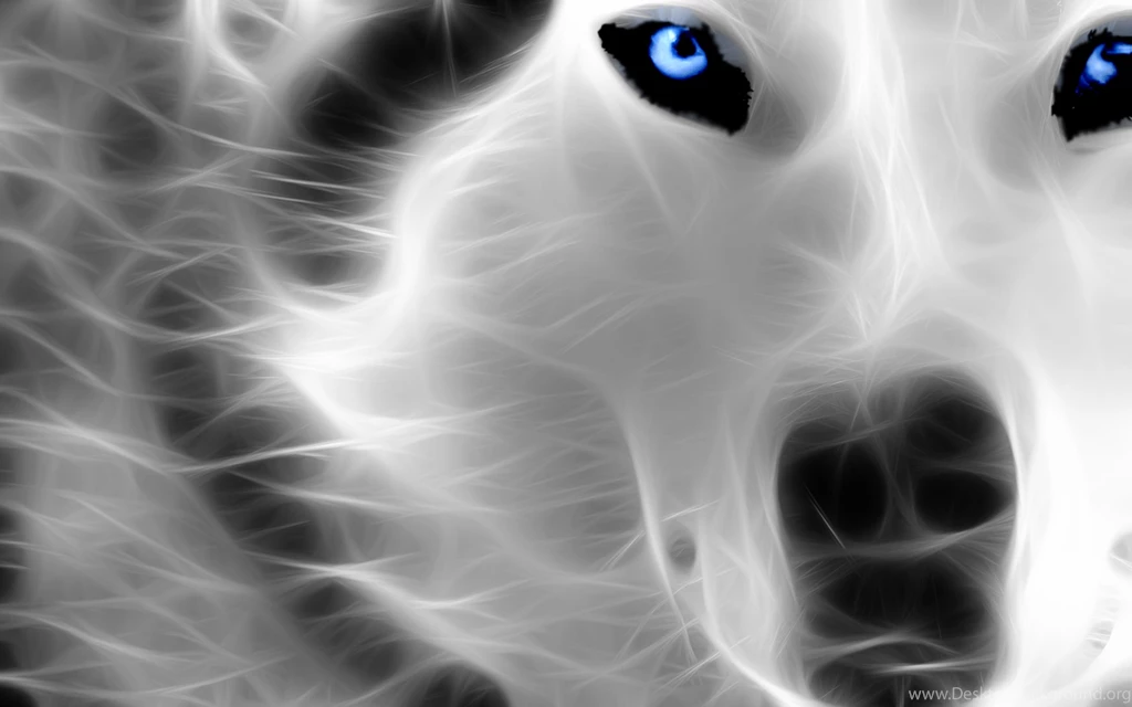 12 2013 Tags 3D 3D Animal Wallpapers 3D Hd Animal Wallpapers 3D Hd ...