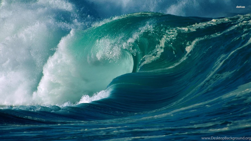 Wallpapers Archivos