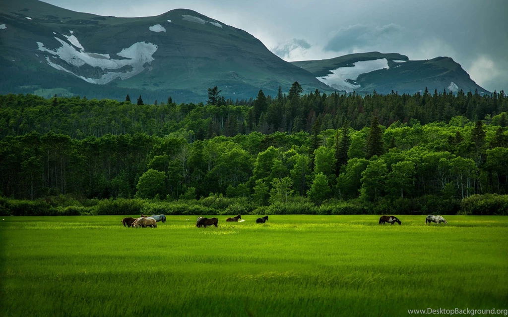Nature Full HD HD Nature Real Photo For Desktop Backgrounds ...
