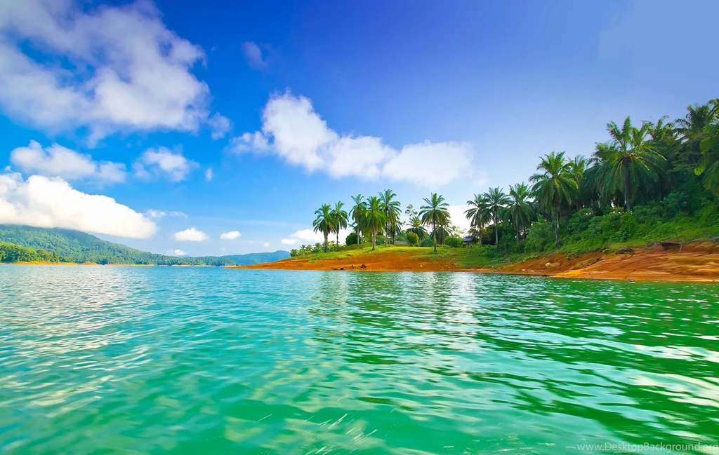 Organic Photos, Amazing Nature Wallpapers, Plants, Green, Hd ...