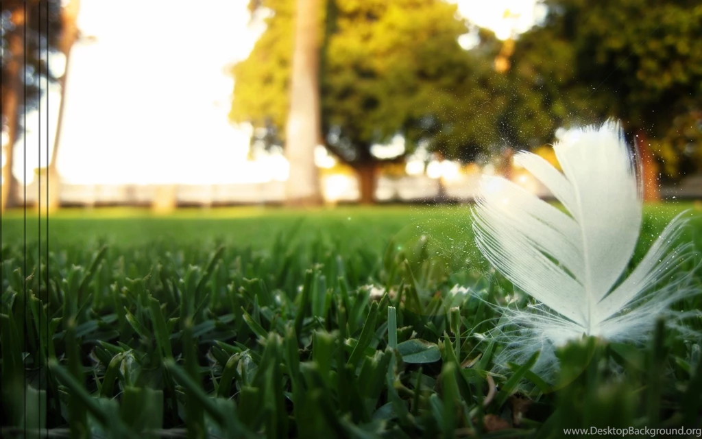 Amazing Nature HD Wallpapers 1920x1200 (23) Hebus.org High ...