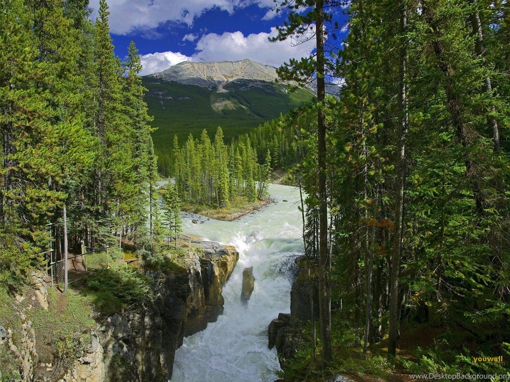 YouWall Amazing Nature Wallpapers Wallpaper,wallpapers,free ...
