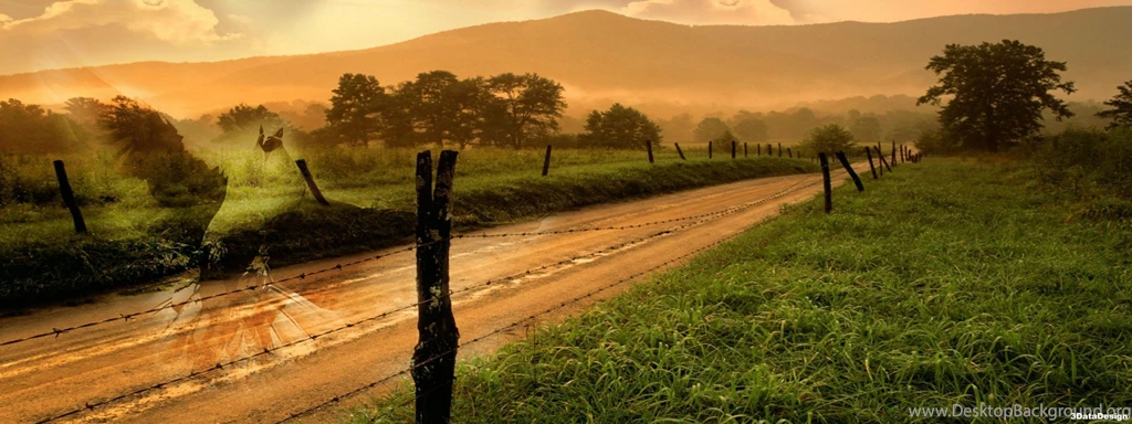 Free Nature Backgrounds For Dual Screens