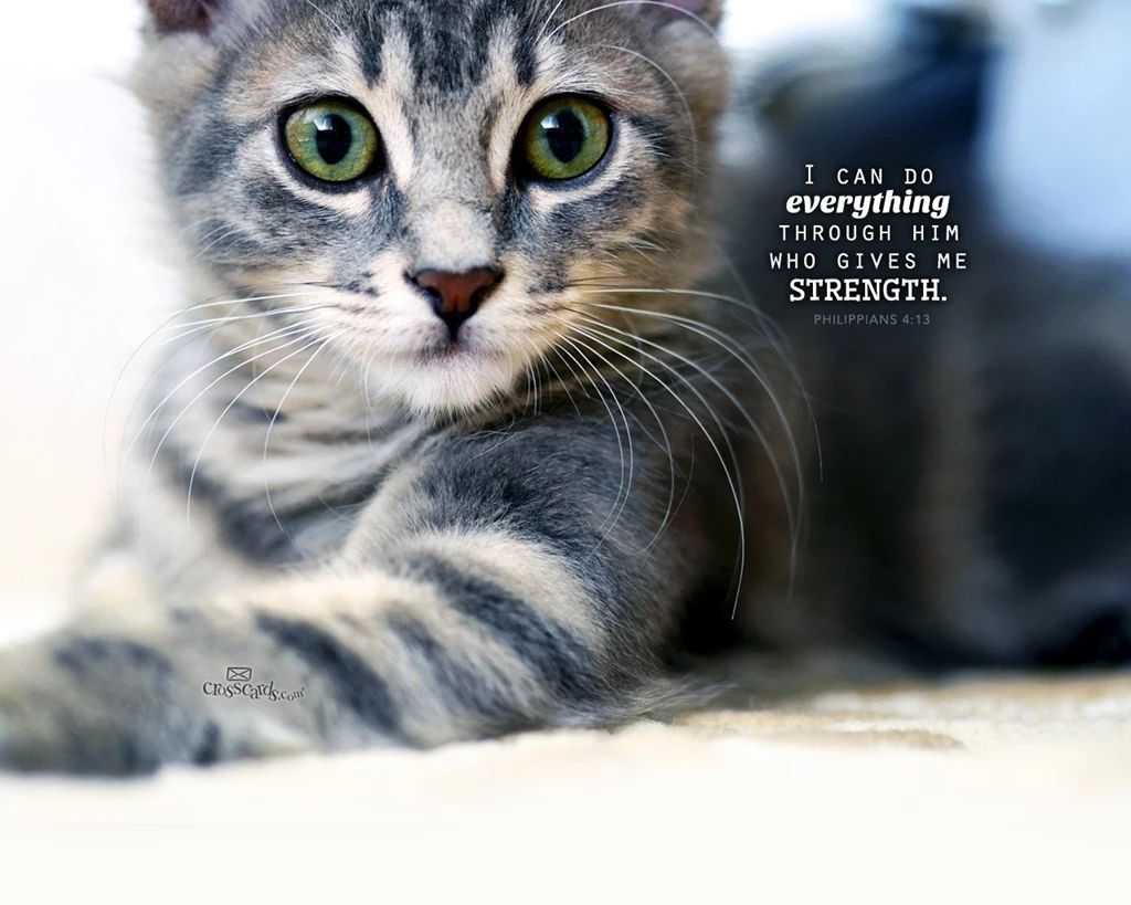 Bible Verse Wallpapers   Free Christian Scripture Backgrounds